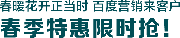 2025蛇年春季优惠活动